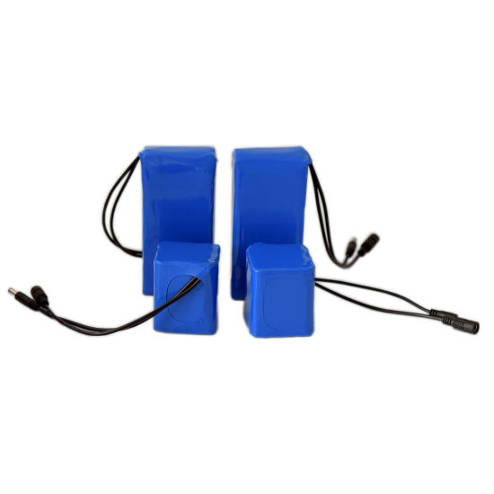 Conjunto de bateria de íon de lítio recarregável 12V 6000mAh