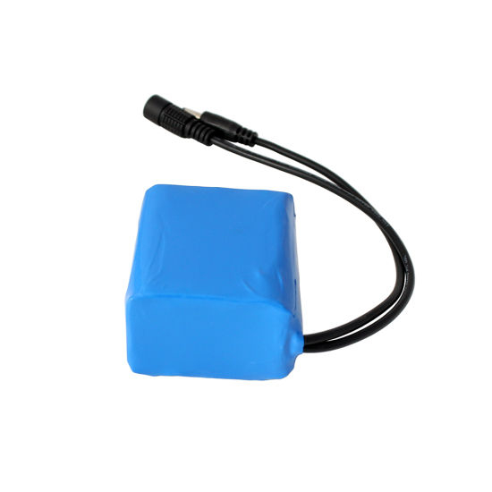 Mini bateria recarregável de lítio 12V 4ah portátil 3s2p