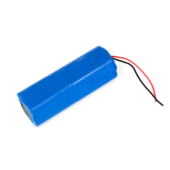 Bateria de íon de lítio recarregável 18650 marca célula 10 12ah 12V